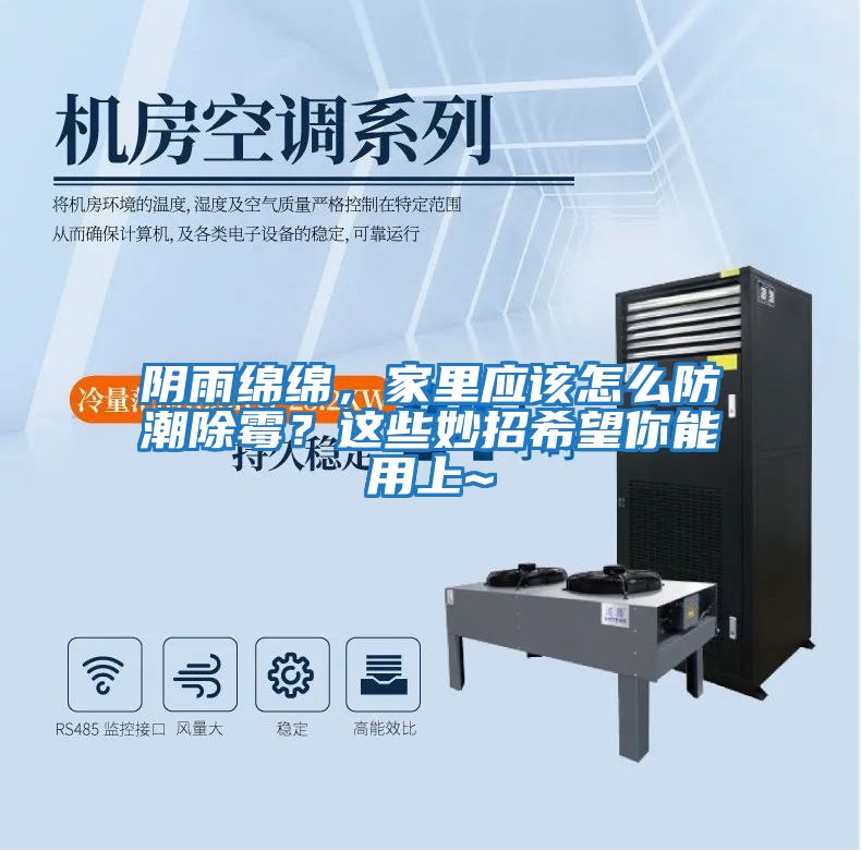 陰雨綿綿，家里應該怎么防潮除霉？這些妙招希望你能用上~