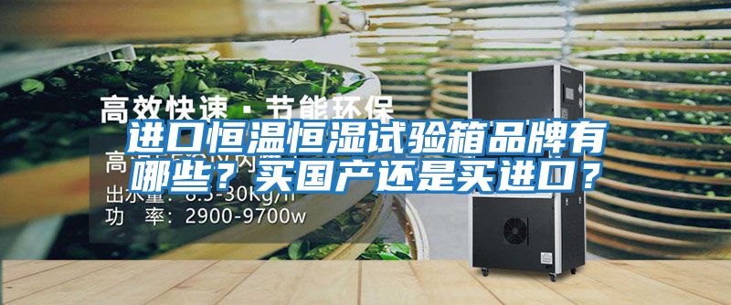 進口恒溫恒濕試驗箱品牌有哪些？買國產還是買進口？
