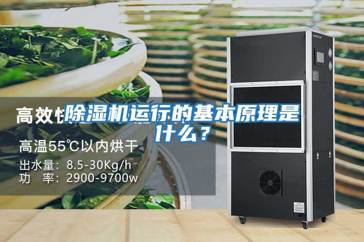 除濕機運行的基本原理是什么？