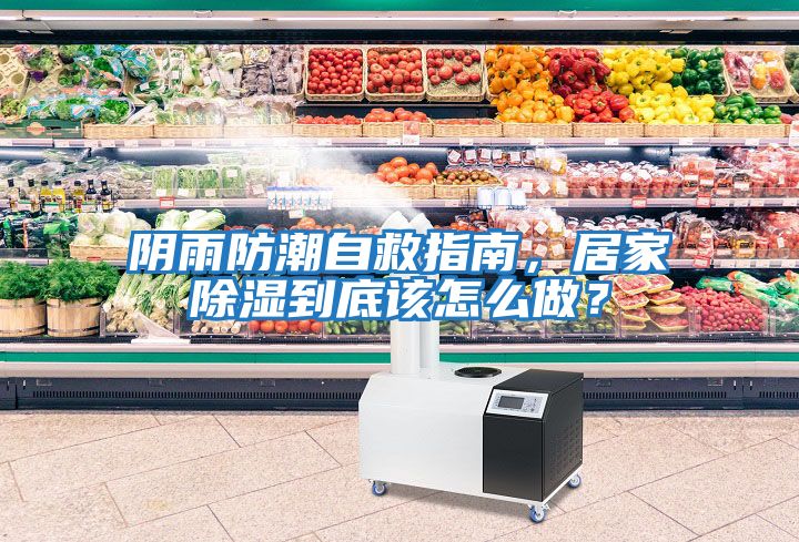 陰雨防潮自救指南，居家除濕到底該怎么做？