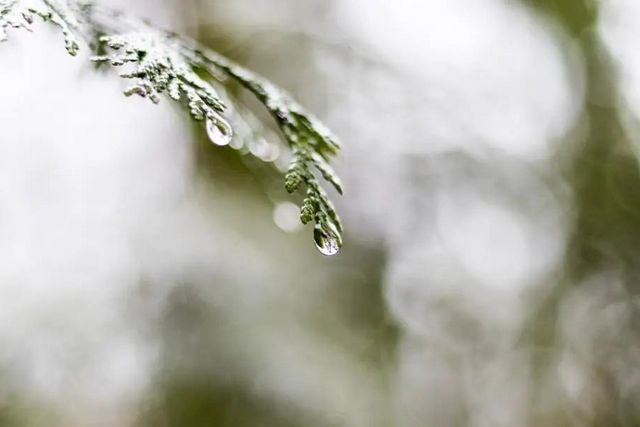 空氣濕度大帶來的危害有哪些，你知道嗎？