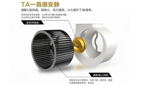 工業廠房潮濕怎么辦？工業廠房除濕設備什么品牌比較好？